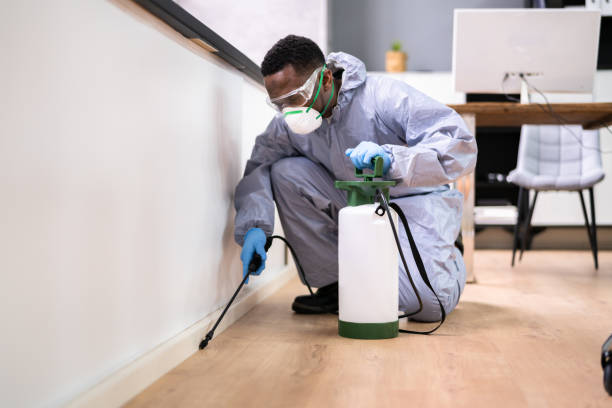 Best Pest Exclusion Services  in Commack, NY